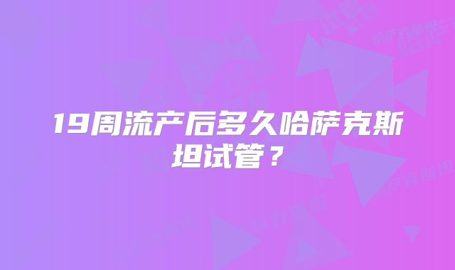 19周流产后多久哈萨克斯坦试管？