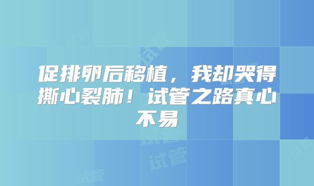 促排卵后移植，我却哭得撕心裂肺！试管之路真心不易