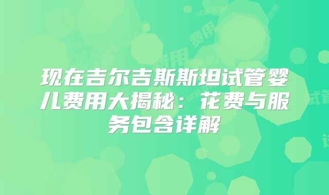 现在吉尔吉斯斯坦试管婴儿费用大揭秘：花费与服务包含详解