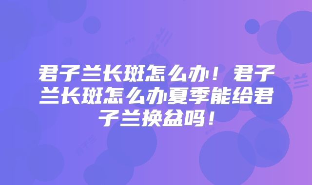 君子兰长斑怎么办!君子兰长斑怎么办夏季能给君子兰换盆吗!