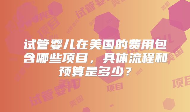 试管婴儿在美国的费用包含哪些项目，具体流程和预算是多少？