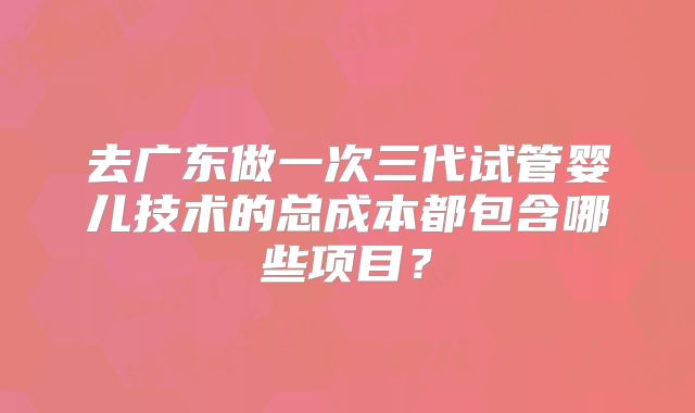 去广东做一次三代试管婴儿技术的总成本都包含哪些项目？