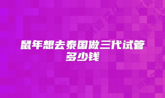 鼠年想去泰国做三代试管多少钱
