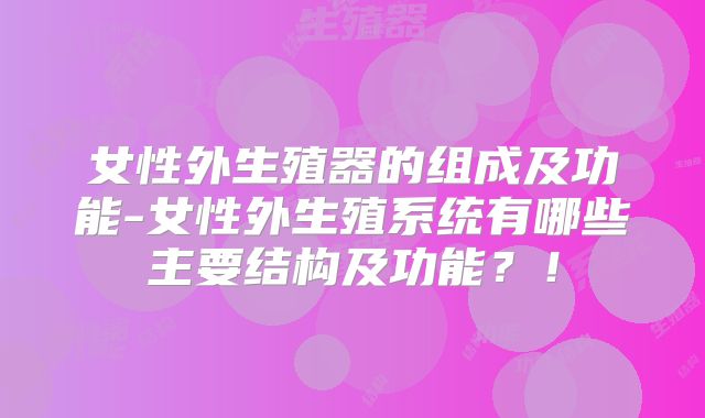 女性外生殖器的组成及功能-女性外生殖系统有哪些主要结构及功能？！