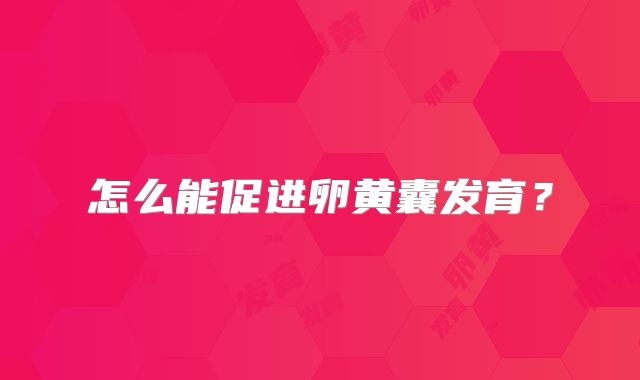 怎么能促进卵黄囊发育？