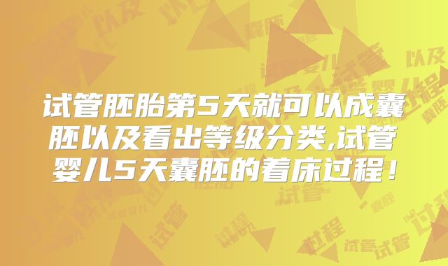 试管胚胎第5天就可以成囊胚以及看出等级分类,试管婴儿5天囊胚的着床过程！
