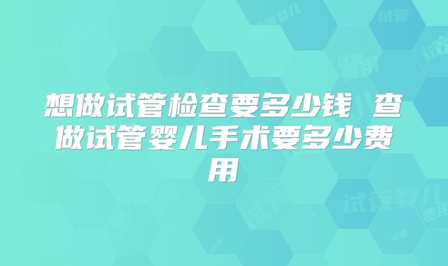 想做试管检查要多少钱 查做试管婴儿手术要多少费用
