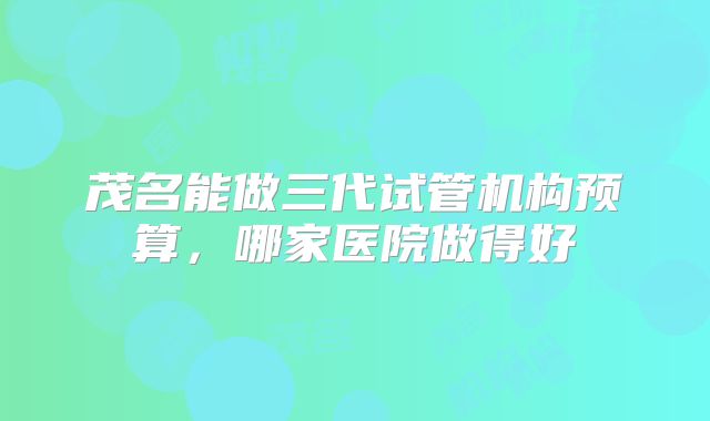 茂名能做三代试管机构预算，哪家医院做得好