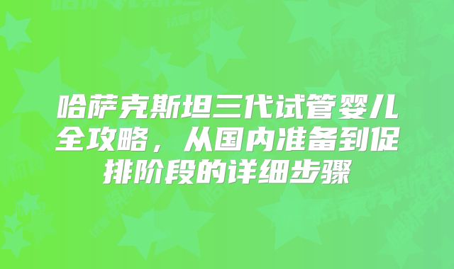 哈萨克斯坦三代试管婴儿全攻略，从国内准备到促排阶段的详细步骤