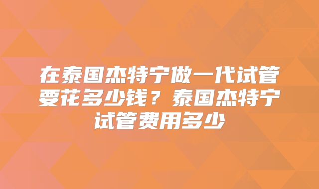 在泰国杰特宁做一代试管要花多少钱？泰国杰特宁试管费用多少