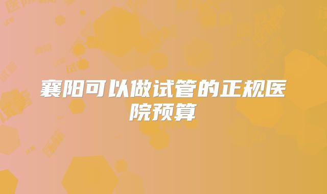 襄阳可以做试管的正规医院预算