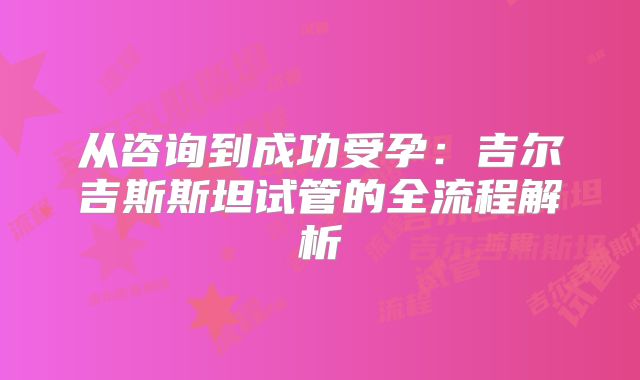 从咨询到成功受孕：吉尔吉斯斯坦试管的全流程解析