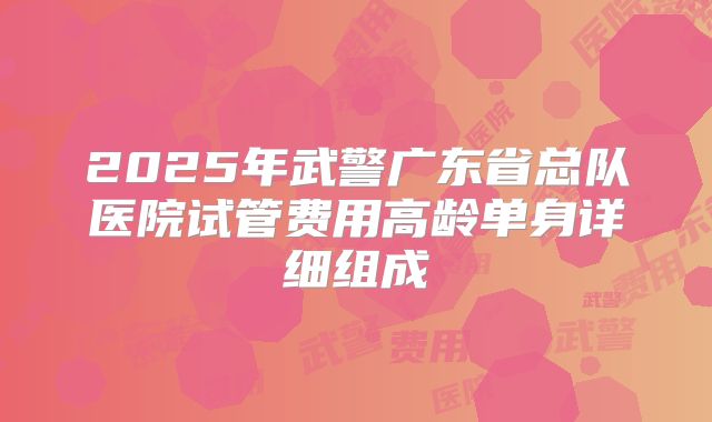 2025年武警广东省总队医院试管费用高龄单身详细组成