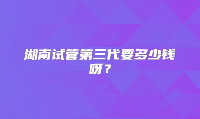 湖南试管第三代要多少钱呀？