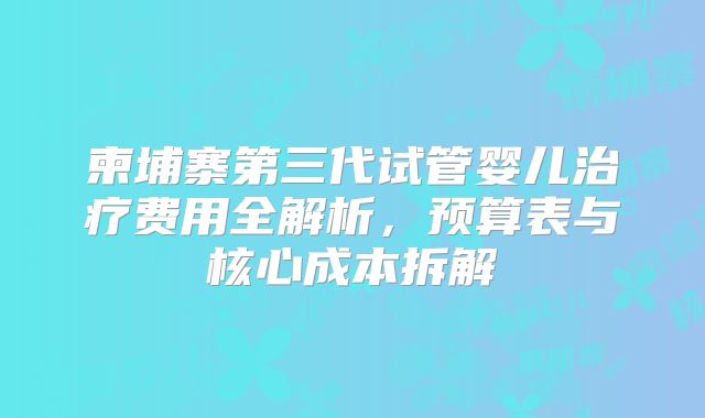 柬埔寨第三代试管婴儿治疗费用全解析，预算表与核心成本拆解