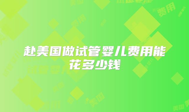 赴美国做试管婴儿费用能花多少钱