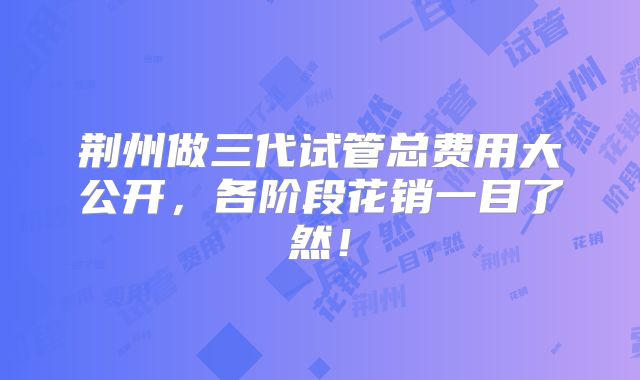 荆州做三代试管总费用大公开,各阶段花销一目了然!