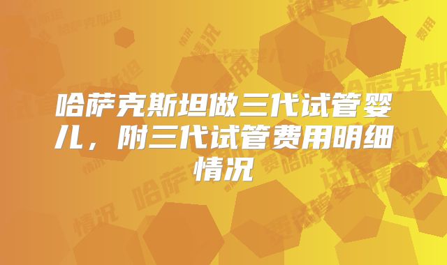 哈萨克斯坦做三代试管婴儿,附三代试管费用明细情况