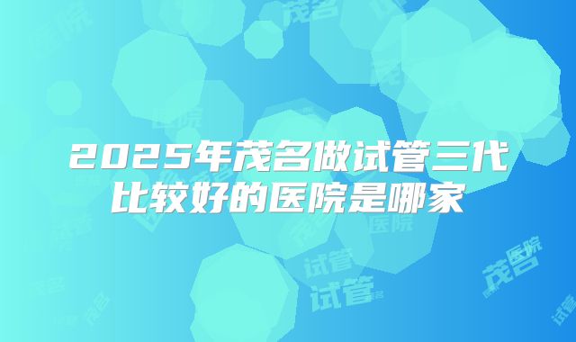 2025年茂名做试管三代比较好的医院是哪家
