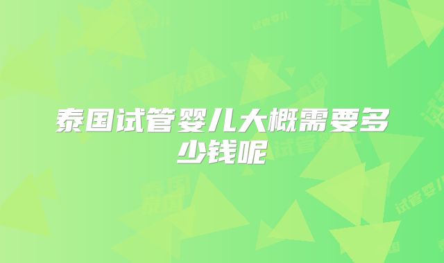 泰国试管婴儿大概需要多少钱呢