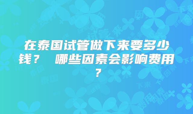 在泰国试管做下来要多少钱？ 哪些因素会影响费用？