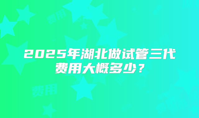 2025年湖北做试管三代费用大概多少？