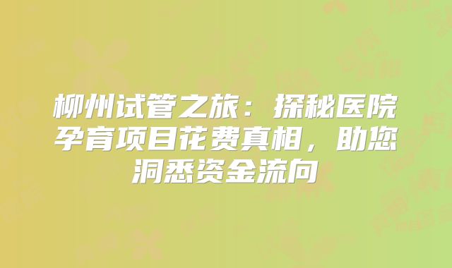 柳州试管之旅：探秘医院孕育项目花费真相，助您洞悉资金流向