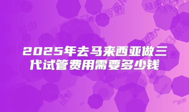 2025年去马来西亚做三代试管费用需要多少钱