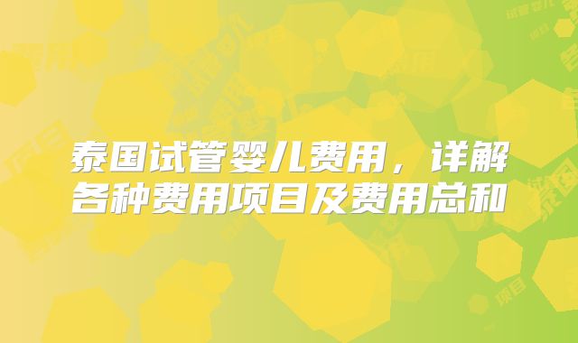 泰国试管婴儿费用，详解各种费用项目及费用总和