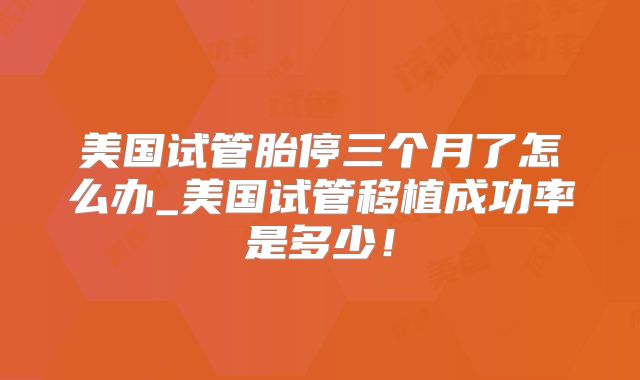 美国试管胎停三个月了怎么办_美国试管移植成功率是多少！