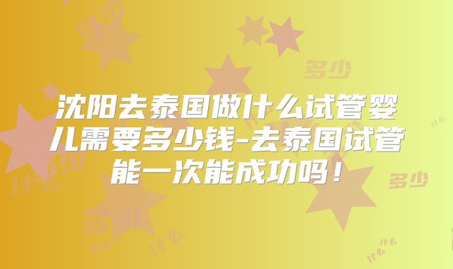 沈阳去泰国做什么试管婴儿需要多少钱-去泰国试管能一次能成功吗！