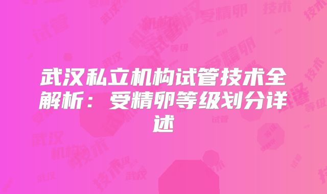 武汉私立机构试管技术全解析：受精卵等级划分详述