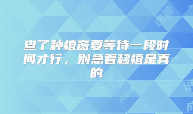 查了种植窗要等待一段时间才行，别急着移植是真的