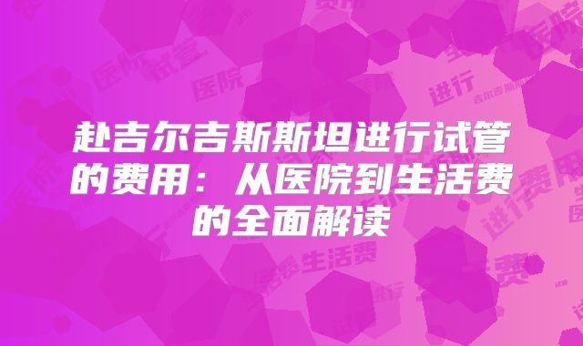 赴吉尔吉斯斯坦进行试管的费用:从医院到生活费的全面解读