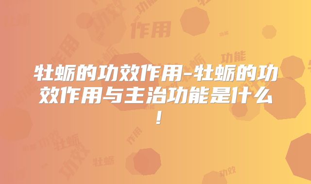 牡蛎的功效作用-牡蛎的功效作用与主治功能是什么！
