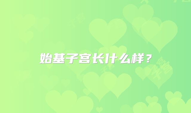 始基子宫长什么样？