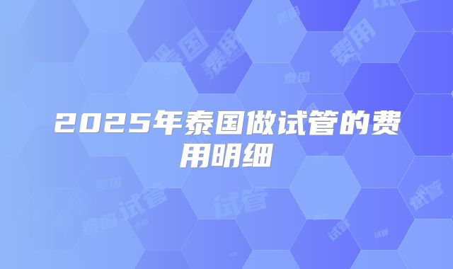 2025年泰国做试管的费用明细