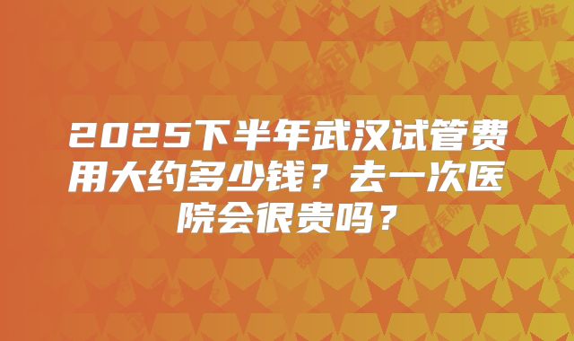 2025下半年武汉试管费用大约多少钱?去一次医院会很贵吗?