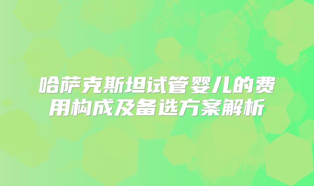 哈萨克斯坦试管婴儿的费用构成及备选方案解析