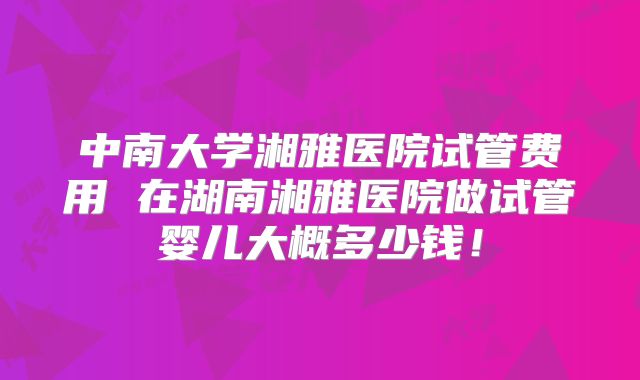 中南大学湘雅医院试管费用 在湖南湘雅医院做试管婴儿大概多少钱！