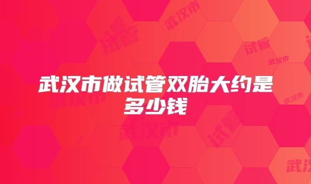 武汉市做试管双胎大约是多少钱