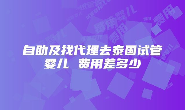 自助及找代理去泰国试管婴儿 费用差多少