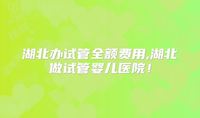 湖北办试管全额费用,湖北做试管婴儿医院！