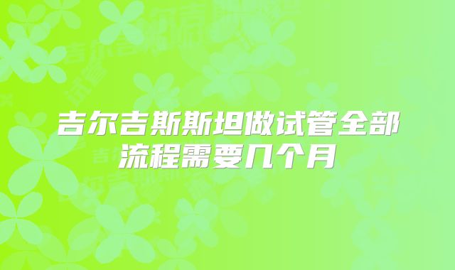 吉尔吉斯斯坦做试管全部流程需要几个月