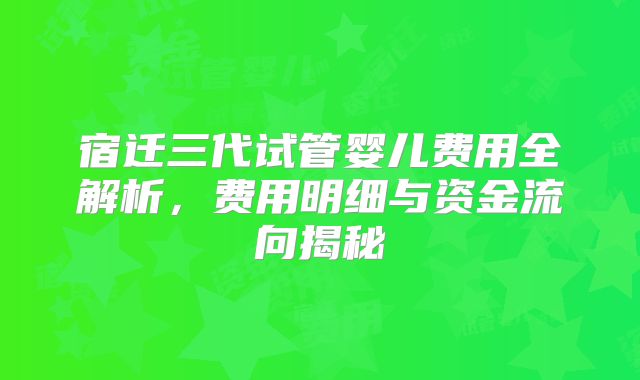 宿迁三代试管婴儿费用全解析，费用明细与资金流向揭秘