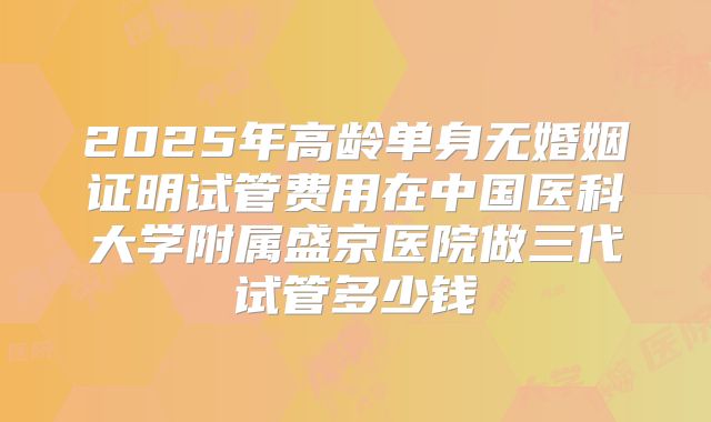 2025年高龄单身无婚姻证明试管费用在中国医科大学附属盛京医院做三代试管多少钱