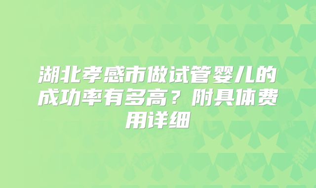 湖北孝感市做试管婴儿的成功率有多高？附具体费用详细