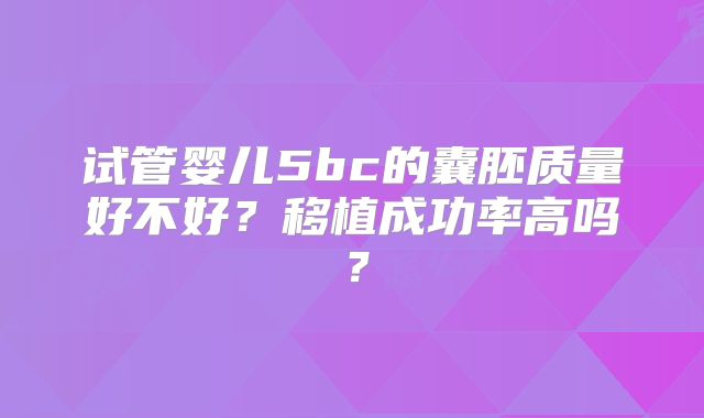 试管婴儿5bc的囊胚质量好不好？移植成功率高吗？