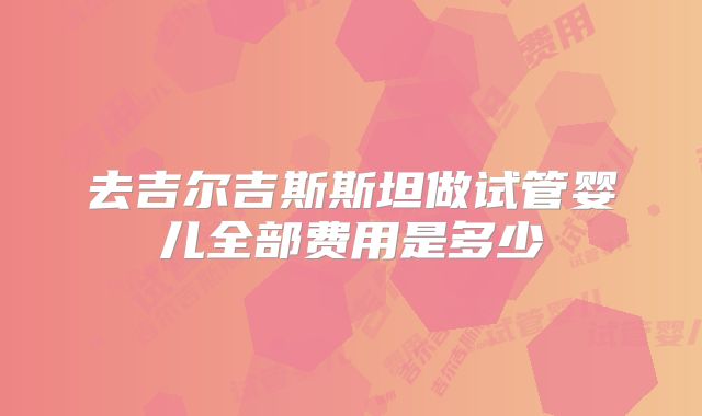 去吉尔吉斯斯坦做试管婴儿全部费用是多少