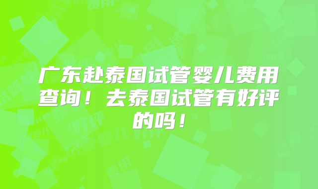 广东赴泰国试管婴儿费用查询！去泰国试管有好评的吗！